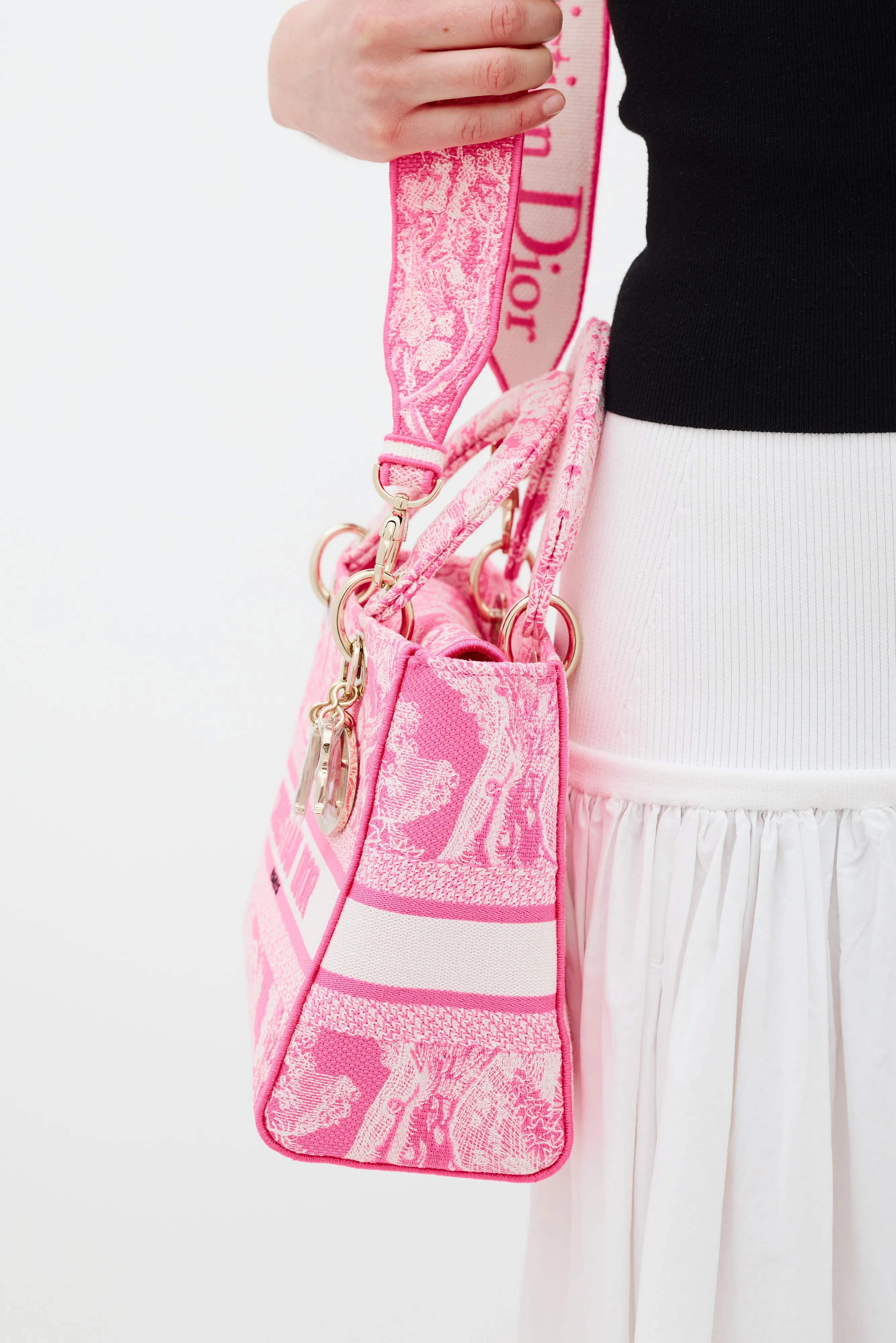 2022 Neon Pink Canvas Toile de Jouy Reverse Lady D-Lite Bag