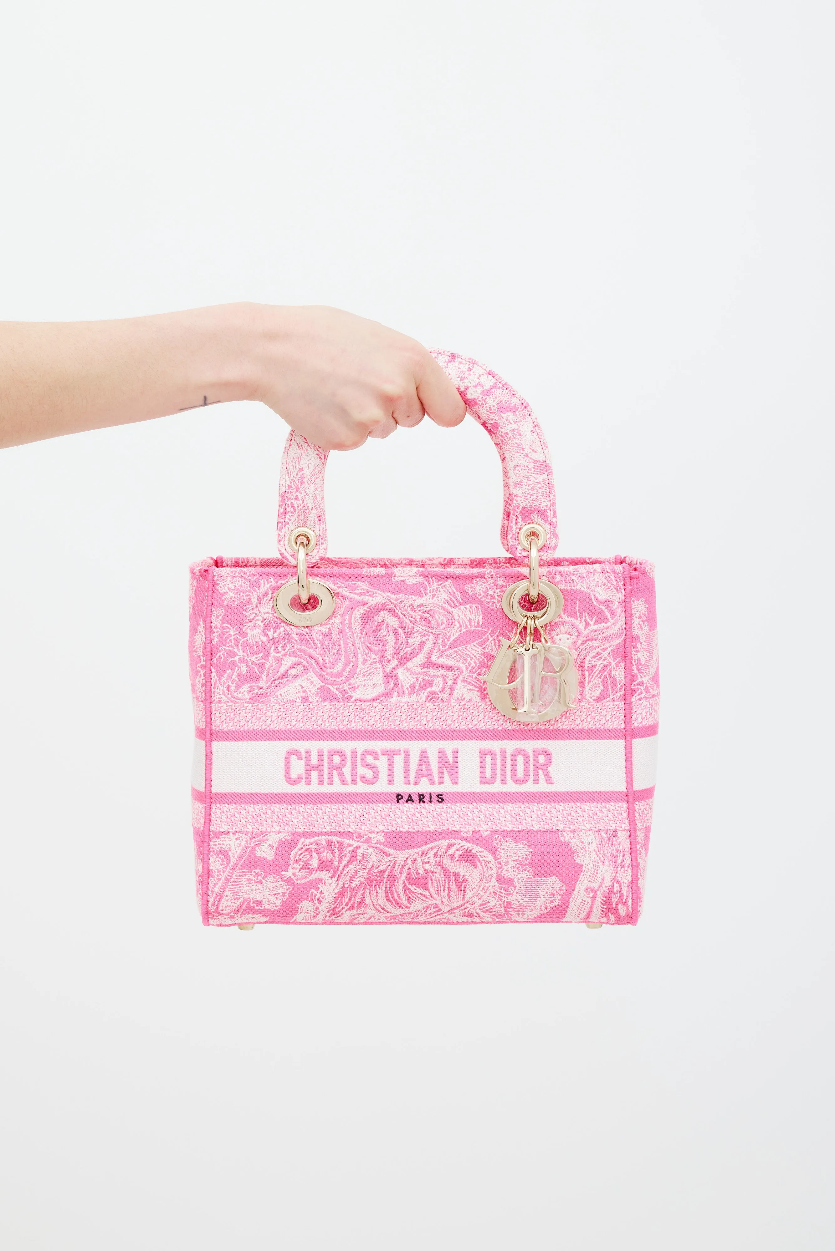 2022 Neon Pink Canvas Toile de Jouy Reverse Lady D-Lite Bag