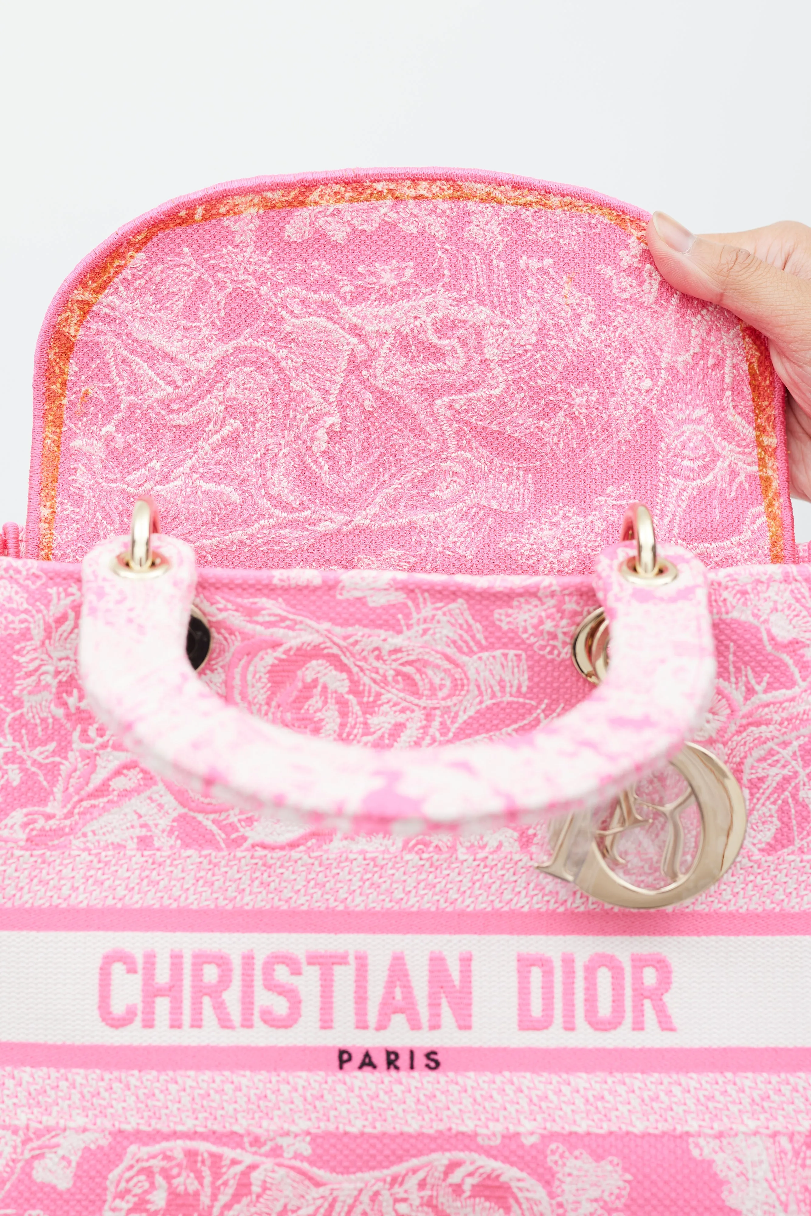 2022 Neon Pink Canvas Toile de Jouy Reverse Lady D-Lite Bag