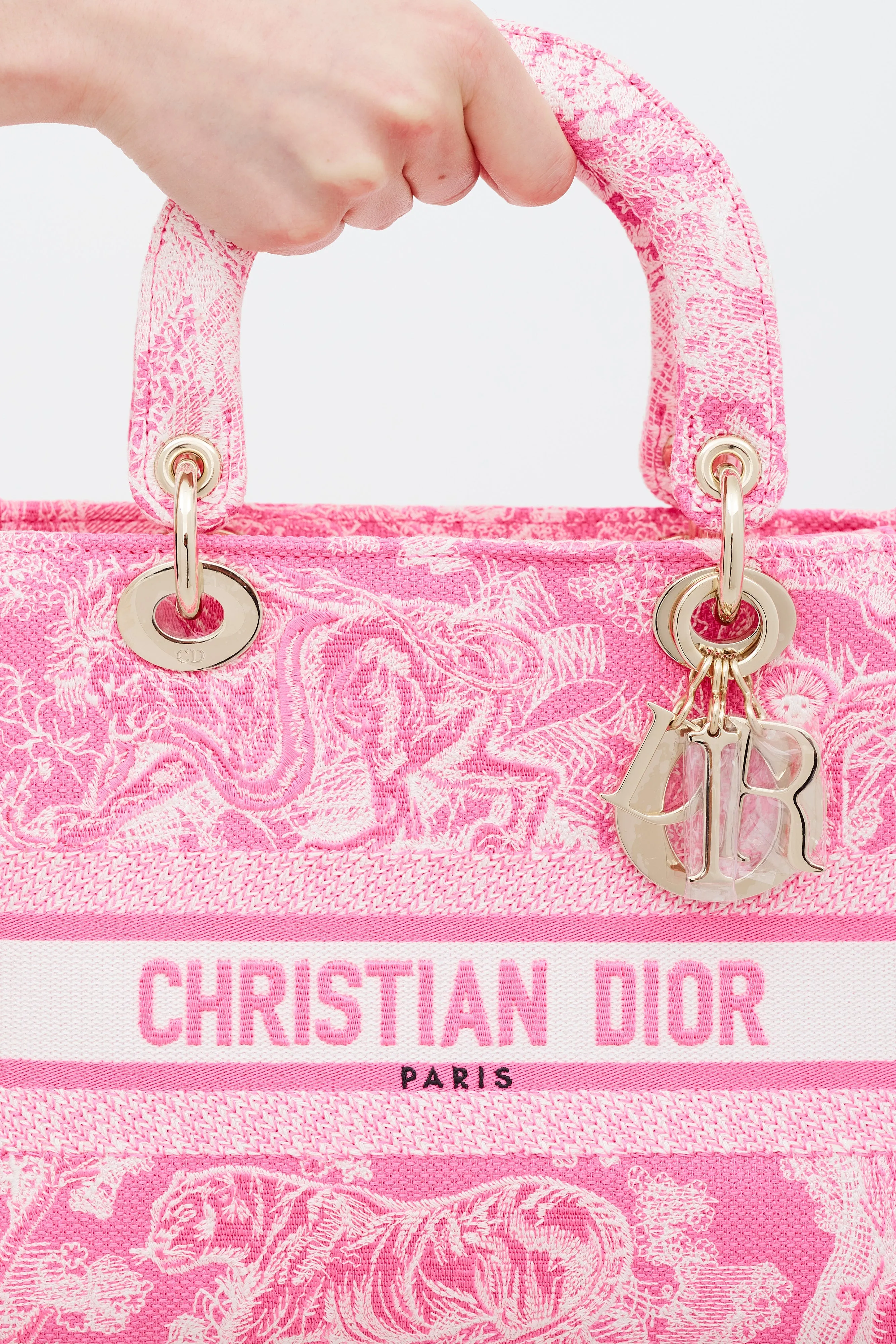 2022 Neon Pink Canvas Toile de Jouy Reverse Lady D-Lite Bag