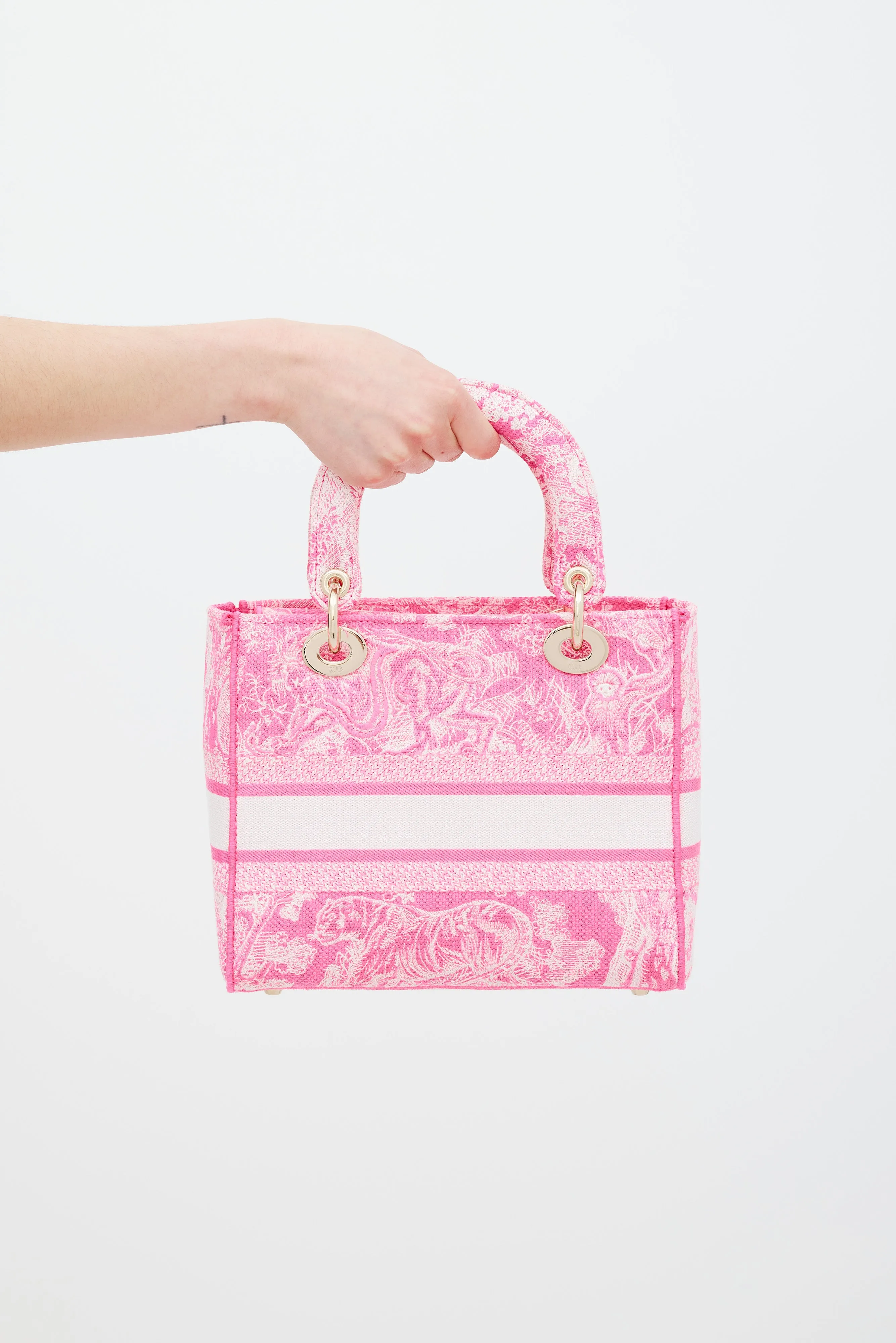 2022 Neon Pink Canvas Toile de Jouy Reverse Lady D-Lite Bag