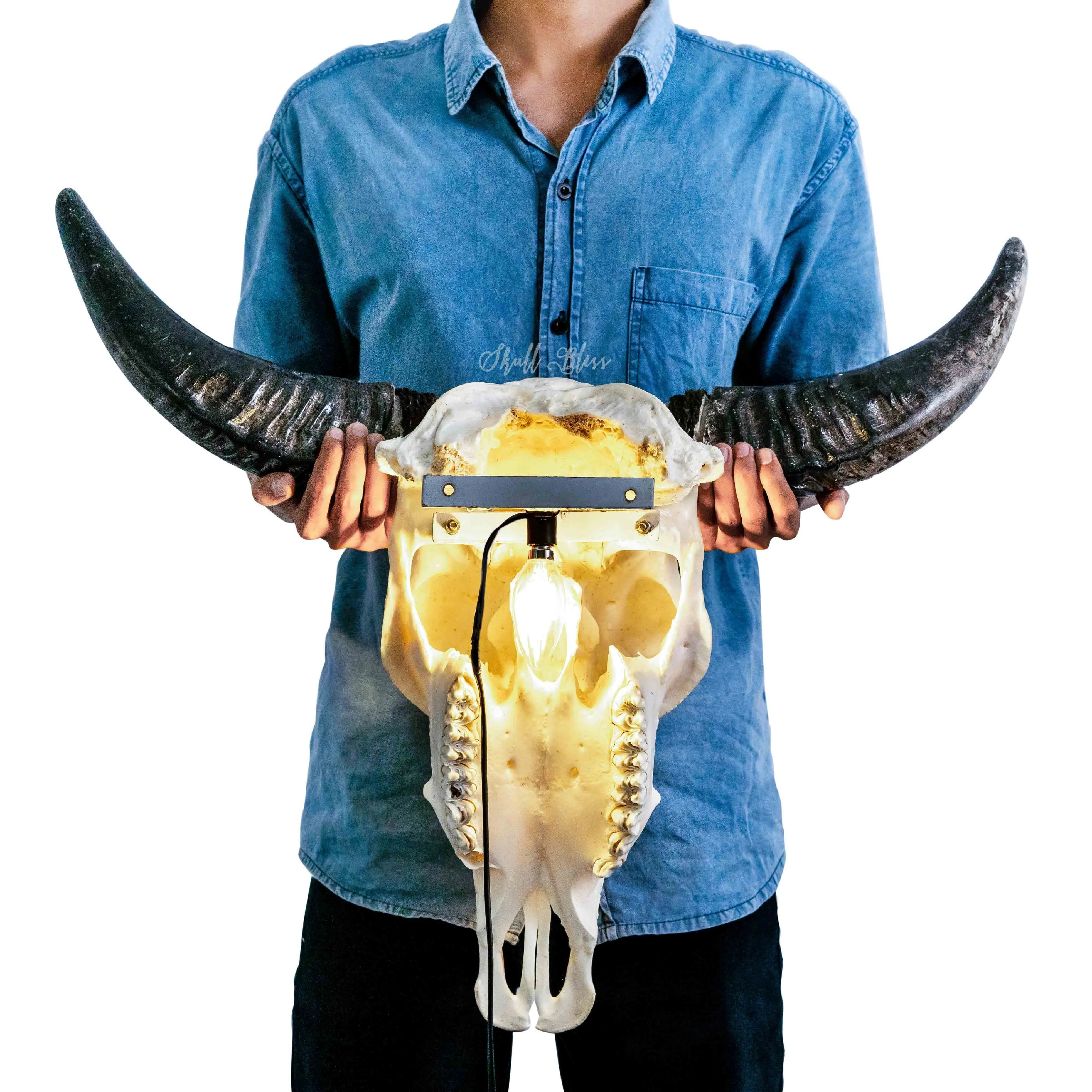 Hand Carved Cow Skull - Heart